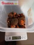 Buy Cow /Ox Gallstone Available On Stock Now @ (W